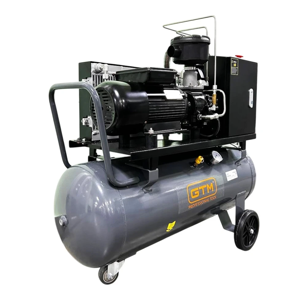 Винтовой компрессор GTM DLG3V 230 с ресивером 100 л, общий вид