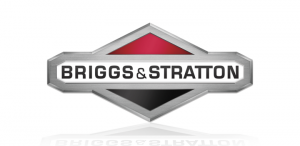 Briggs Stratton