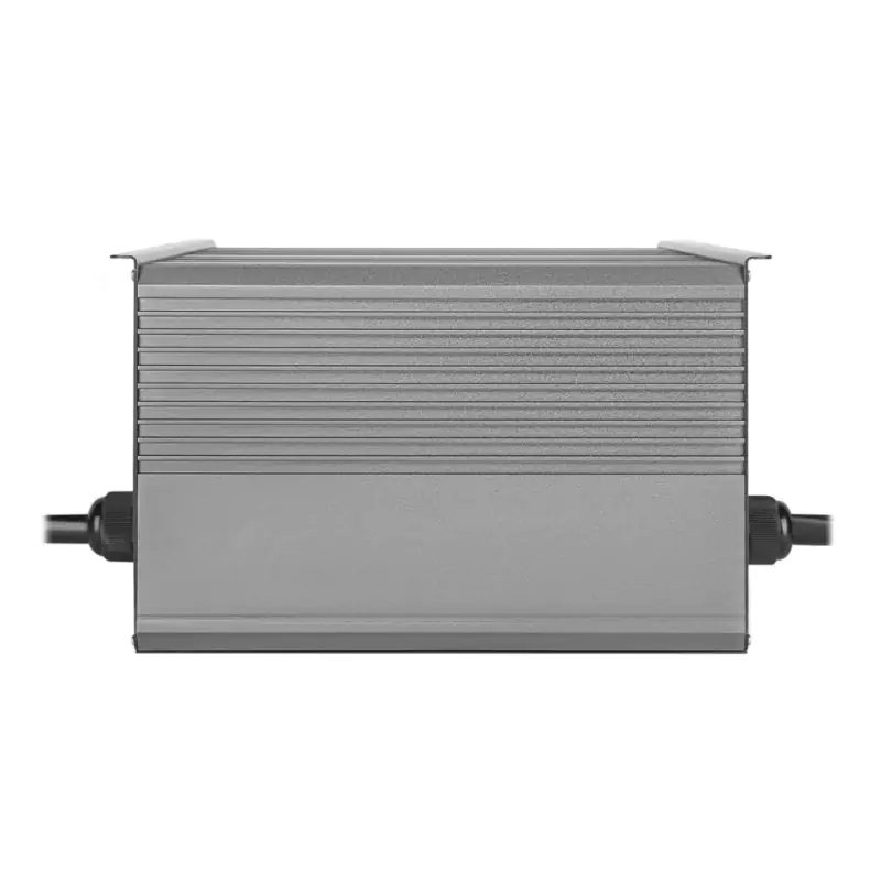 Зарядное устройство для аккумуляторов LiFePO4 48V (58.4V)-80A-3840W-LED - фото 2