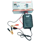 Импульсное зарядное устройство Луч ИЗП-300 — миниатюра 1 Импульсное зарядное устройство Луч ИЗП-300 — миниатюра 1