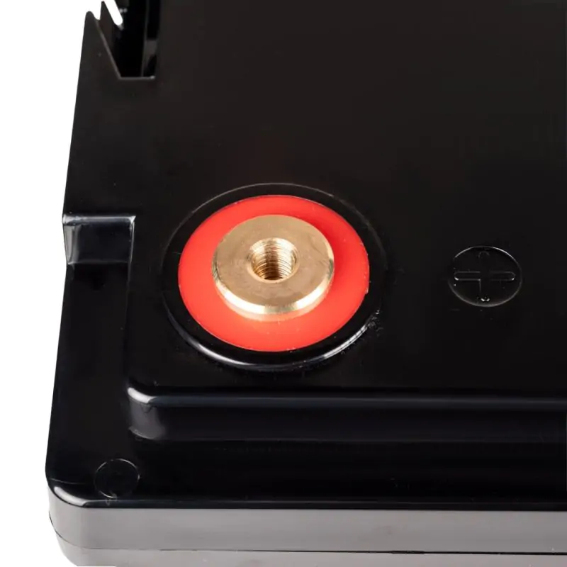 Акумулятор LP LiFePO4 12V (12,8V) - 100 Ah (1280Wh) (Smart BMS 100А) з BT пластик - фото 4