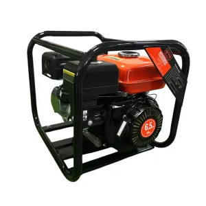 Товар Мотопомпа бензиновая GTM LGP20-C для чистой воды (LGP20-C)