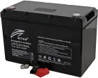 Акумуляторна батарея Ritar LiFePO4 12,8V 100Ah 1280Wh BMS100 — мініатюра 2