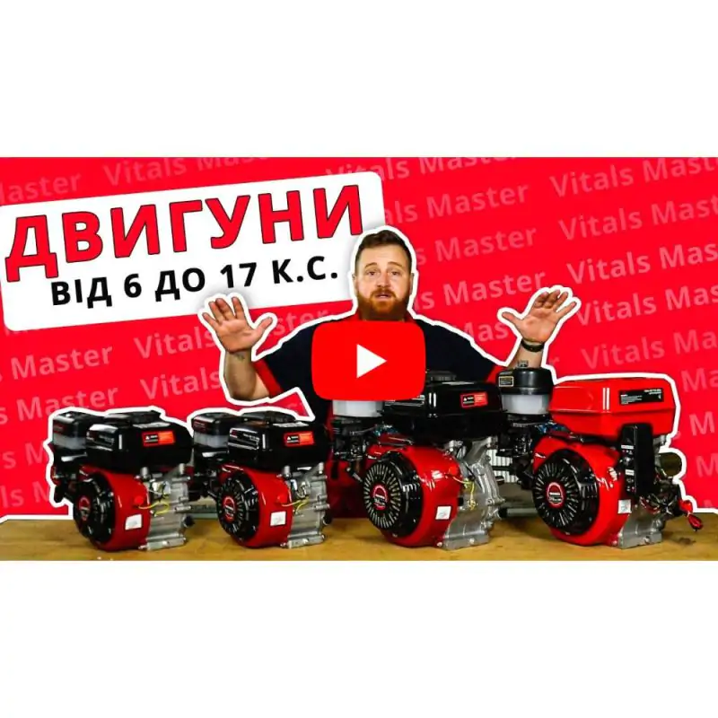 Двигатель бензиновый Vitals GE 6.0-19k - фото 2
