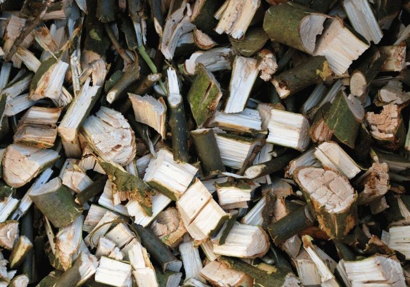 Измельчитель веток Vari RAPIDO 30 mm - фото 9 Измельчитель веток Vari RAPIDO 30 mm - фото 9