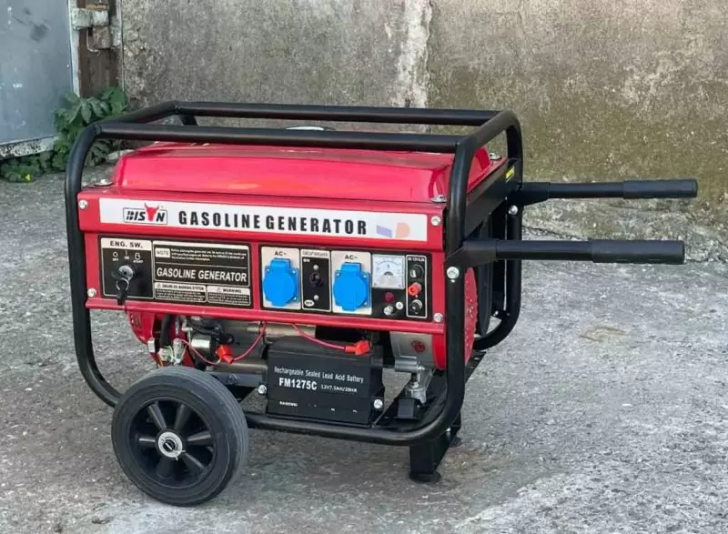 генератор Bison Gasoline Generator BS3800E (на колёсах, стартер) - фото 4