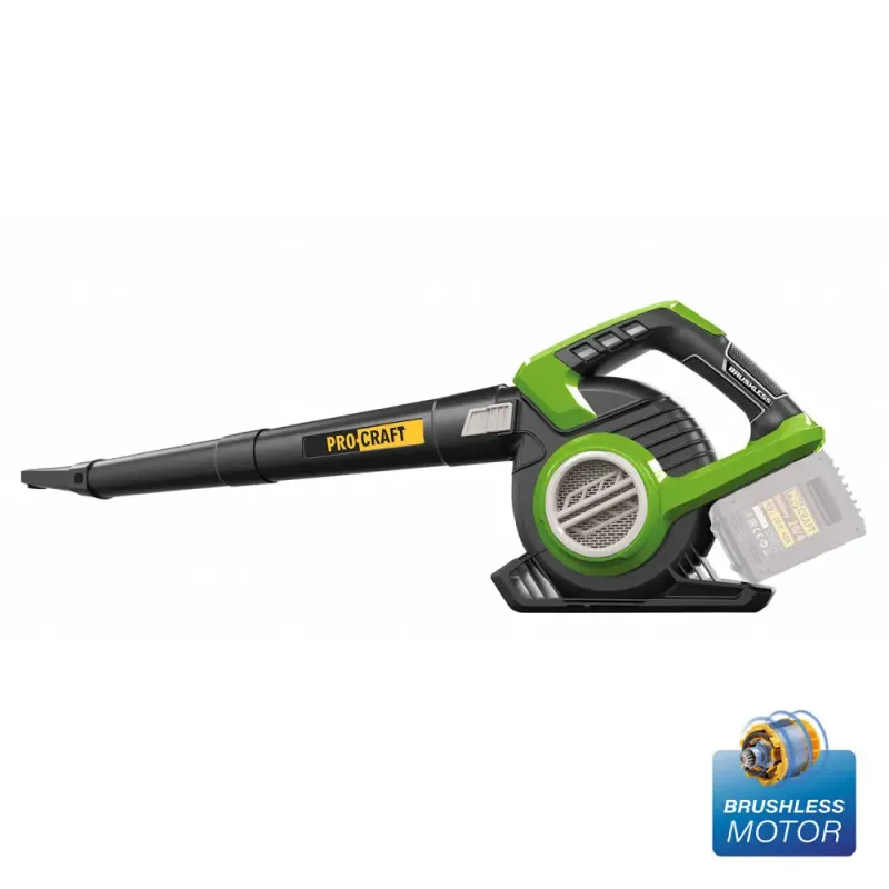 Акумуляторний пилосос-повітродувка Procraft VB20 (без акб та зп) - фото 1 Акумуляторний пилосос-повітродувка Procraft VB20 (без акб та зп) - фото 1