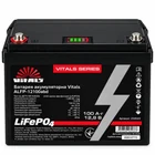 Аккумулятор LiFePO4 Vitals ALFP-12100ABD 12,8 В 100 А·ч (1280 Вт·ч) - миниатюра 1