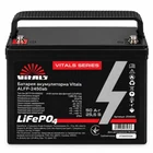 Акумулятор LiFePO4 Vitals ALFP-2450AB 25,6 В 50 А·год (1280 Вт·год) - мініатюра 1