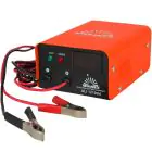 Зарядное устройство инверторного типа Vitals 1220ddc — миниатюра 1